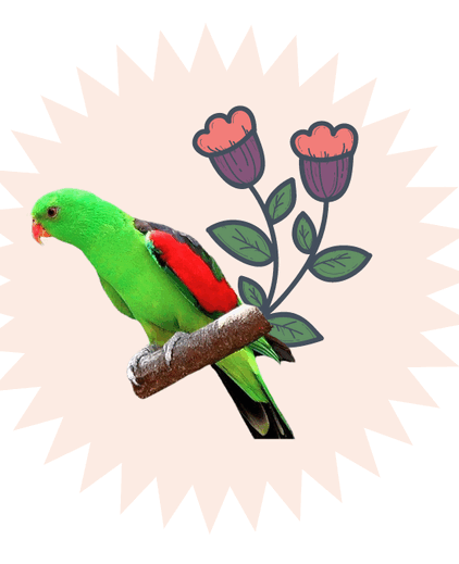 Images to PDF